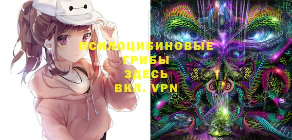 молекула духа Горнозаводск