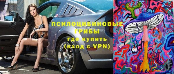 молекула духа Горнозаводск