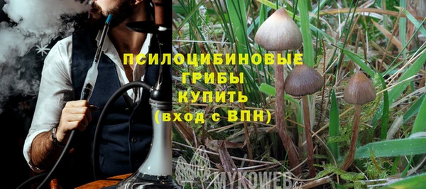 мет Горно-Алтайск