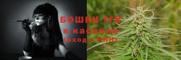молекула духа Горнозаводск