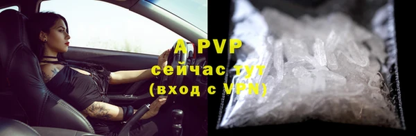 молекула духа Горнозаводск