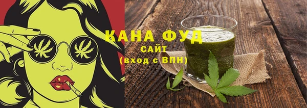 молекула духа Горнозаводск