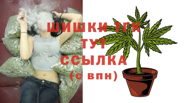 молекула духа Горнозаводск