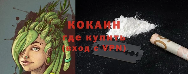 молекула духа Горнозаводск