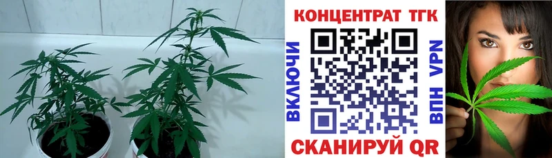 что такое   Лаишево  OMG зеркало  ТГК жижа 